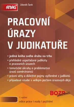 PRACOVNÍ ÚRAZY V JUDIKATUŘE